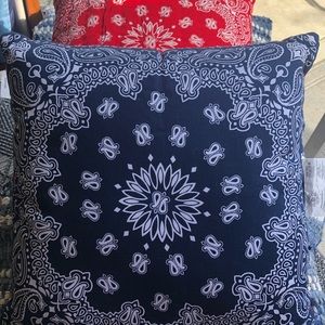 Limited Edition Levi Strauss 18x18 Pillows Set of 2